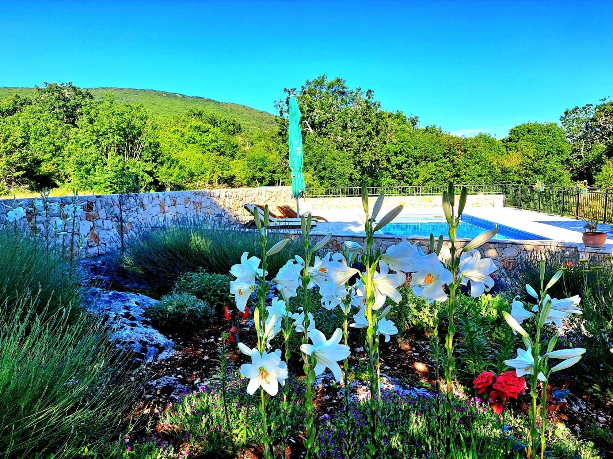 Relaxing Dalmatian House In Village Ljubitovica Eksteriør billede