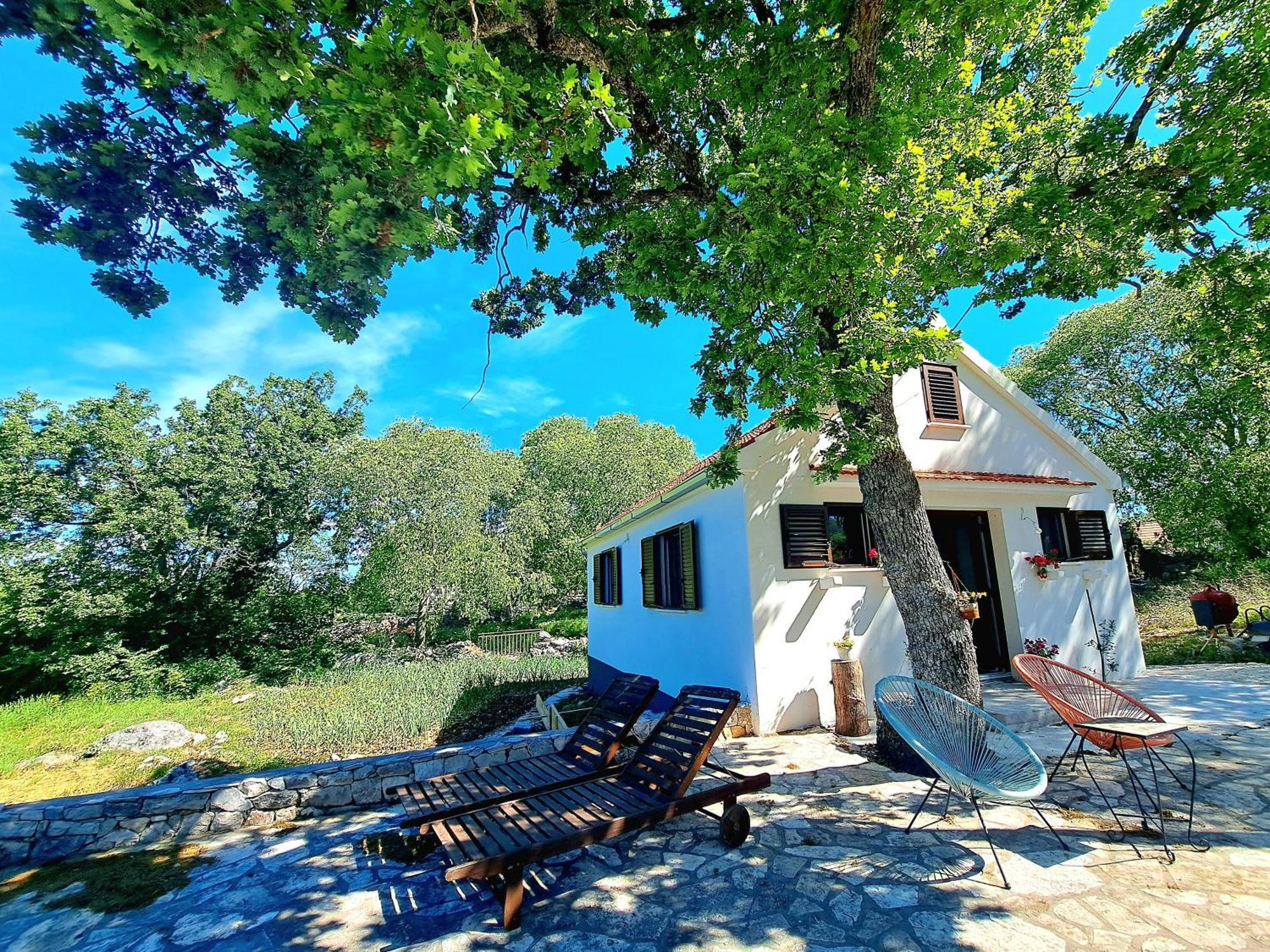 Relaxing Dalmatian House In Village Ljubitovica Eksteriør billede
